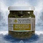 Verrine de salicornes au naturel